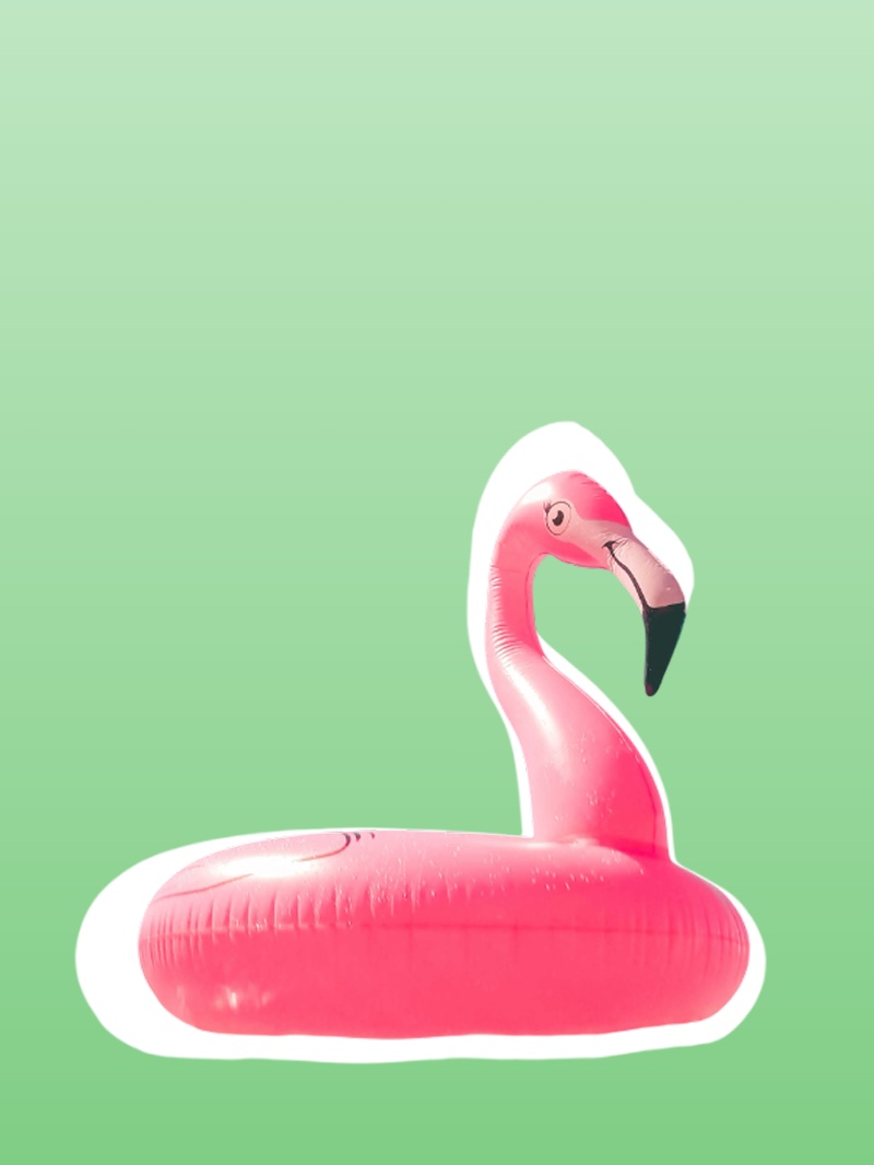 Pink blow up flamingo representing tours and hospitality services